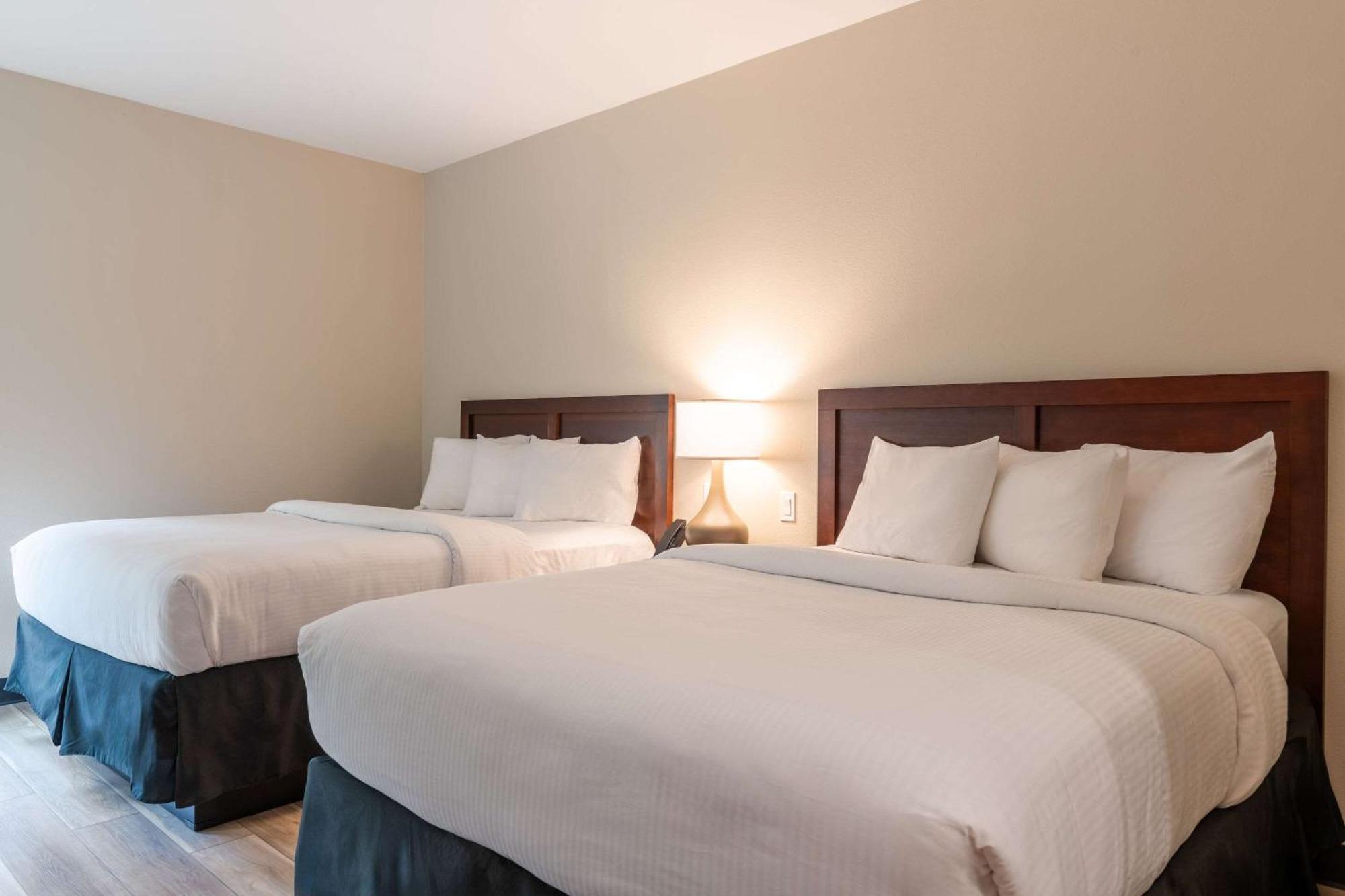 The Chandler At White Mountains, An Ascend Hotel Collection Membe Bethlehem Exteriér fotografie